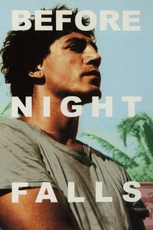 Image Bevor es Nacht wird – Der Film