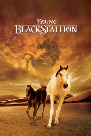 Image Der schwarze Hengst - Wie alles begann... – Der Film