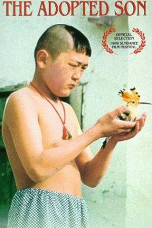 Image Der Fremde Sohn – Der Film