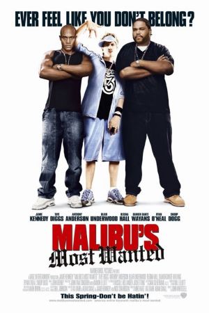 Image Malibu's Most Wanted – Der Film