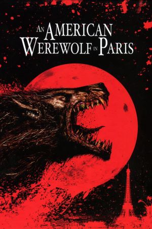 Image American Werewolf in Paris – Der Film