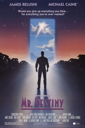 Image Mr. Destiny – Der Film