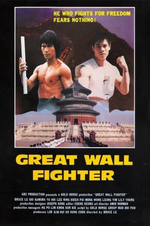 Image Ninja Over the Great Wall – Der Film