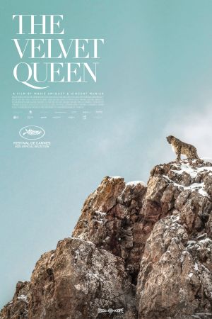 Image Der Schneeleopard – Der Film