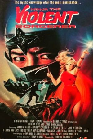 Image Ninja the Violent Sorcerer – Der Film