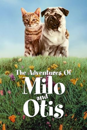 Image Miez und Mops - Zwei tierische Freunde – Der Film