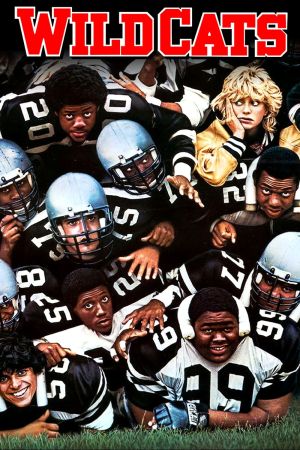 Image American Wildcats – Der Film