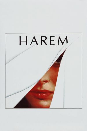 Image Harem – Der Film
