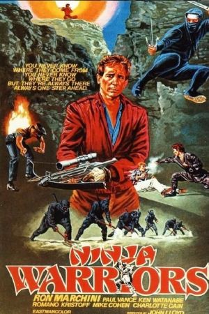 Image American Ninja – Der Film