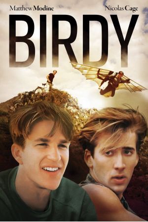 Image Birdy – Der Film