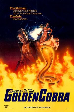 Image Fluch des verborgenen Schatzes – Der Film