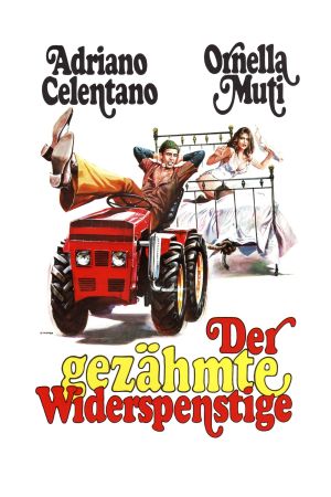 Image Der gezähmte Widerspenstige – Der Film