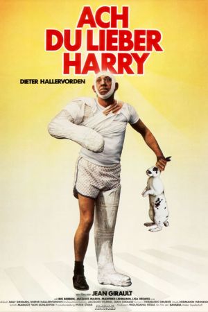 Image Ach du lieber Harry – Der Film