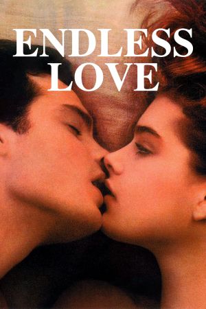 Image Endlose Liebe – Der Film