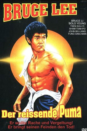 Image Bruce Lee - Der reißende Puma – Der Film