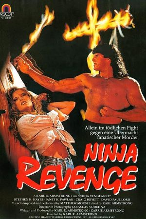 Image Ninja Vengeance