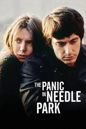 Image Panik im Needle Park – Der Film