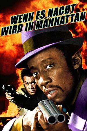 Image Wenn es Nacht wird in Manhattan – Der Film
