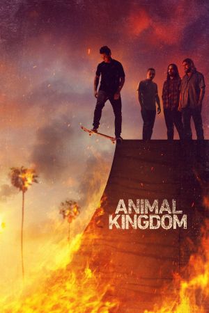 Image Animal Kingdom – Der Film