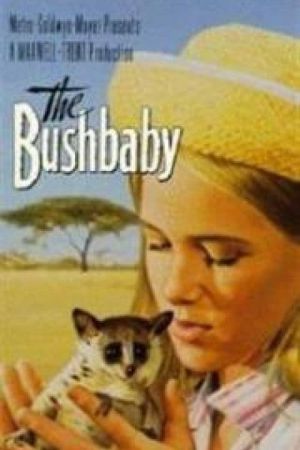 Image Das Buschbaby – Der Film