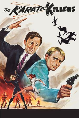 Image Die Karate Killer – Der Film