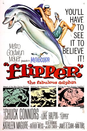Image Flipper – Der Film