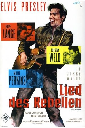 Image Das Lied des Rebellen – Der Film