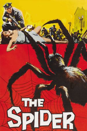 Image Die Rache der schwarzen Spinne – Der Film