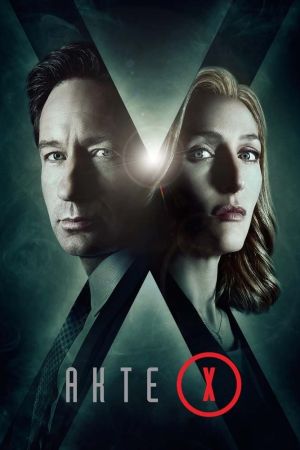 Image Akte X - Die unheimlichen Fälle des FBI – Der Film
