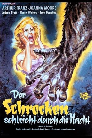 Image Der Schrecken schleicht durch die Nacht – Der Film