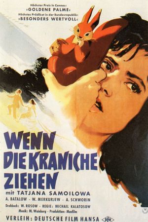 Image Wenn die Kraniche ziehen – Der Film