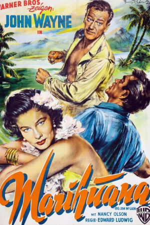 Image Marihuana – Der Film