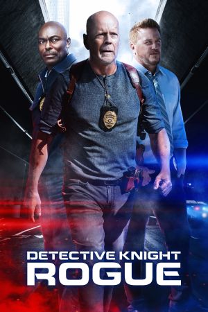 Image Detective Knight: Rogue – Der Film