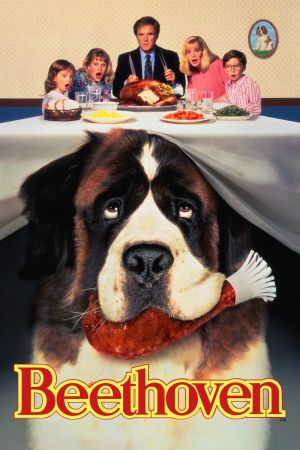 Image Ein Hund namens Beethoven – Der Film