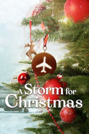 Image Ein Sturm zu Weihnachten – Der Film