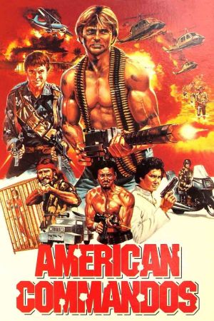 Image Commander Lawin – Der Film