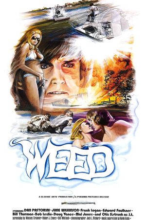 Image The Florida Connection – Der Film