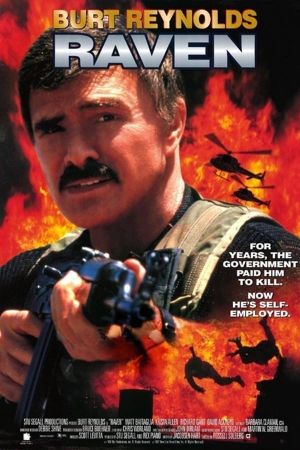 Image Raven – Der Film