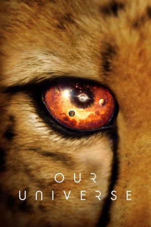Image Das Universum – Der Film