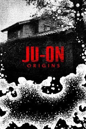 Image JU-ON: Origins – Der Film