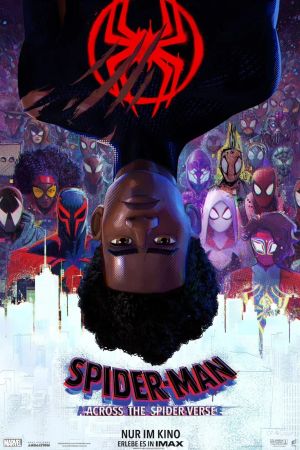 Image Spider-Man: Across the Spider-Verse – Der Film