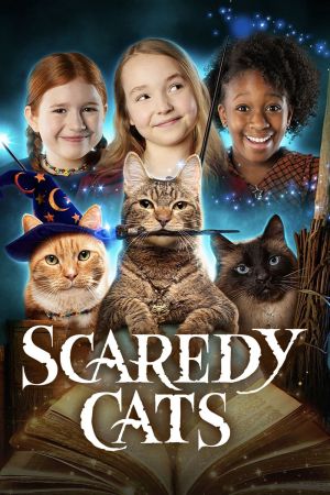 Image Hexen und Katzen – Der Film