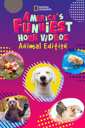 Image Amerikas lustigste Tiervideos – Der Film