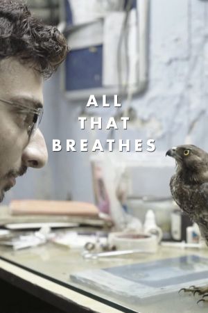 Image All That Breathes – Der Film