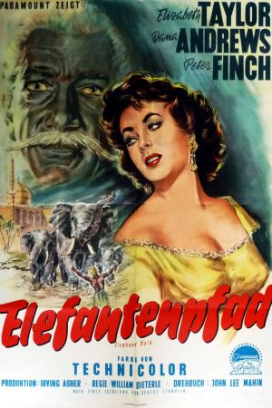 Image Elefantenpfad – Der Film