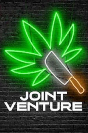 Image Joint Venture – Der Film