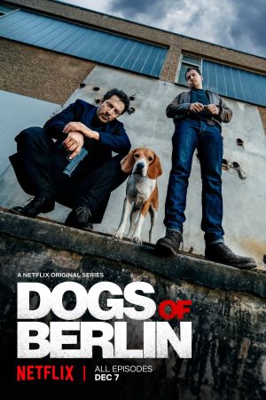 Image Dogs of Berlin – Der Film