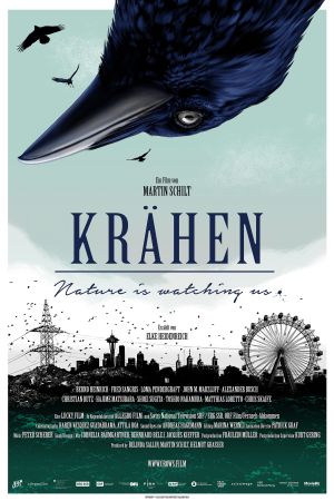 Image Krähen – Nature Is Watching Us – Der Film