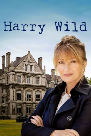 Image Harry Wild - Mörderjagd in Dublin
