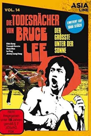 Image Die Todesrächer von Bruce Lee – Der Film
